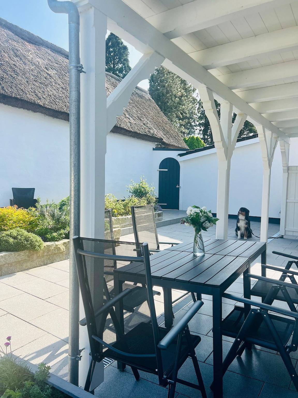 Ganze Ferienwohnung, Naturidyll Mariendorf  - Ferienwohnung Zickersche Berge in Mariendorf (Rügen), Mönchgut