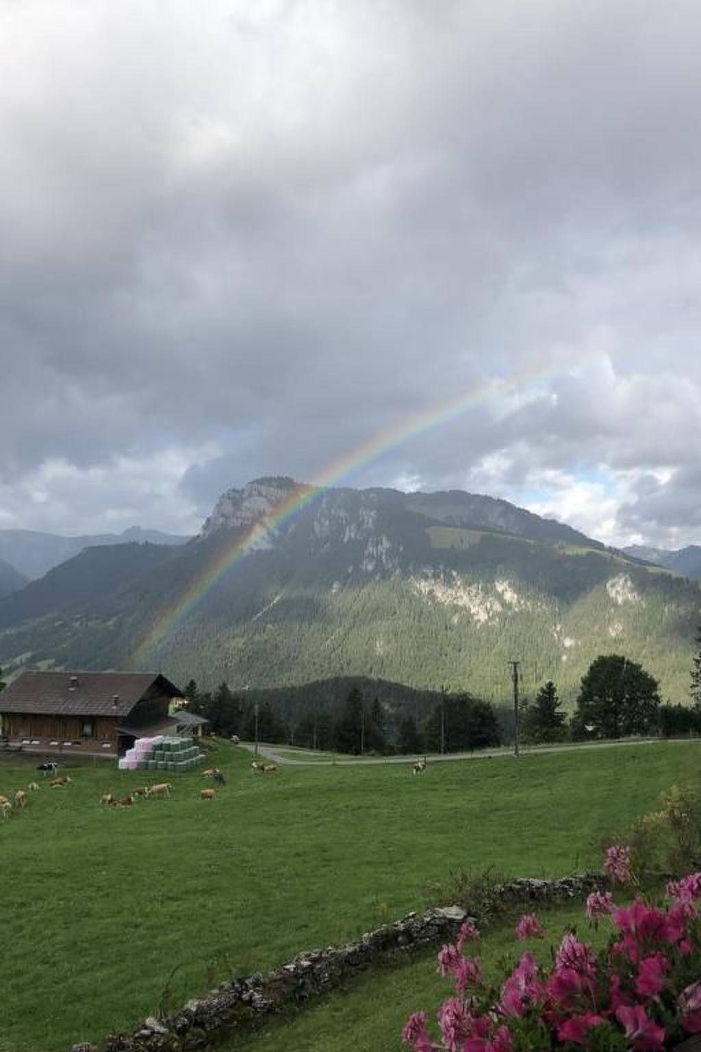 Ganze Wohnung, Gsässweid in Diemtigen, Frutigen - Lenk - Adelboden