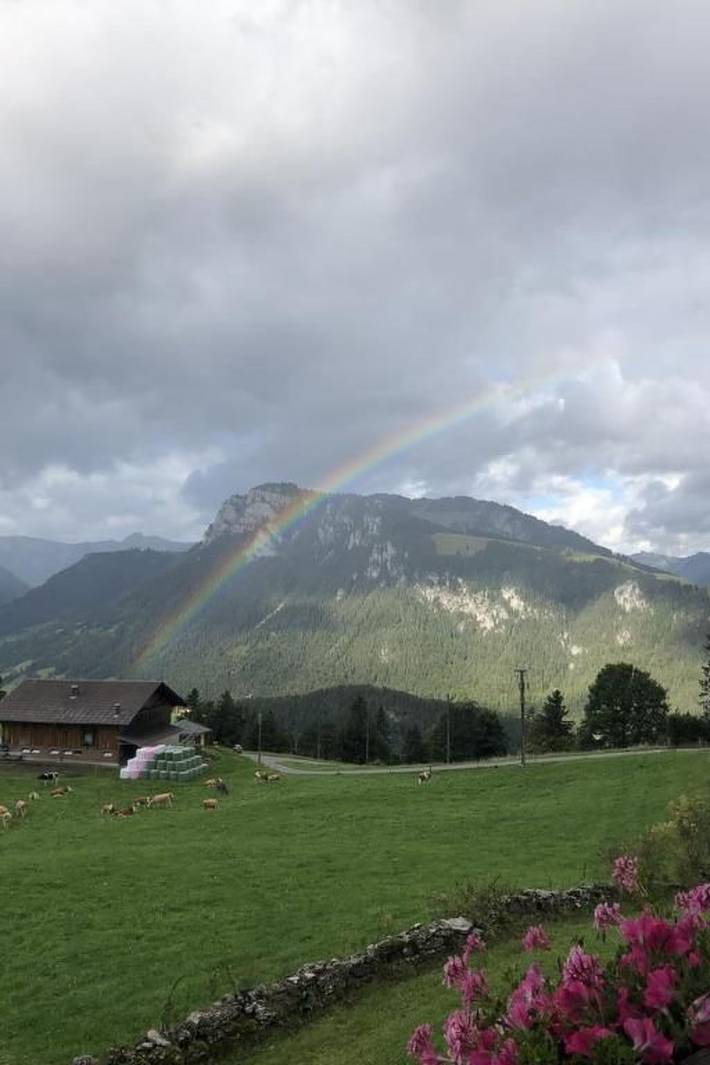 Ganze Wohnung, Gsässweid in Diemtigen, Frutigen - Lenk - Adelboden