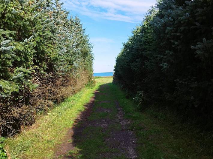 Ferienhaus für 10 Personen, mit Whirlpool und Sauna sowie Terrasse und Pool, kinderfreundlich in Aalbæk - 4