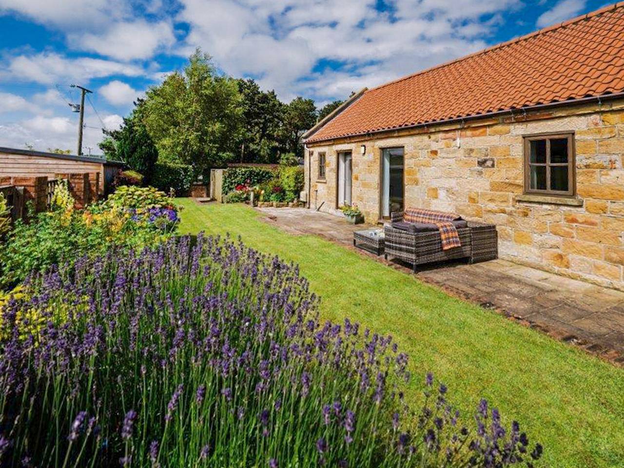 Barn Owl Cottage - Uk49034 in North York Moors National Park
