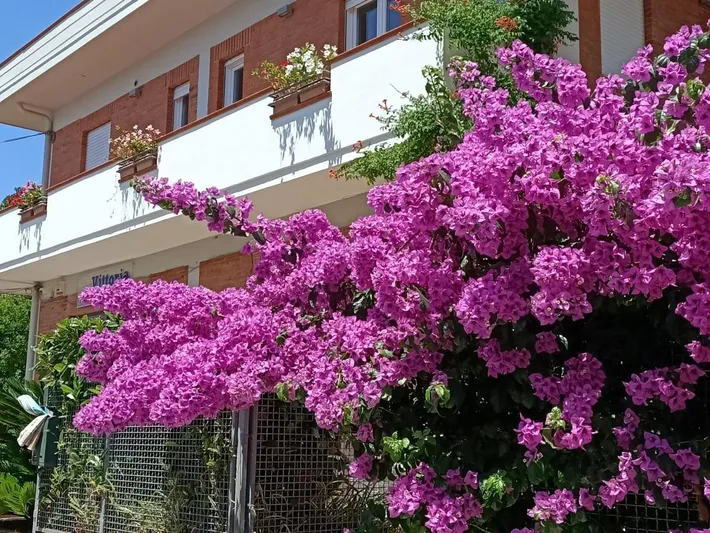 Ferienwohnung für 5 Personen, mit Balkon und Ausblick - 1