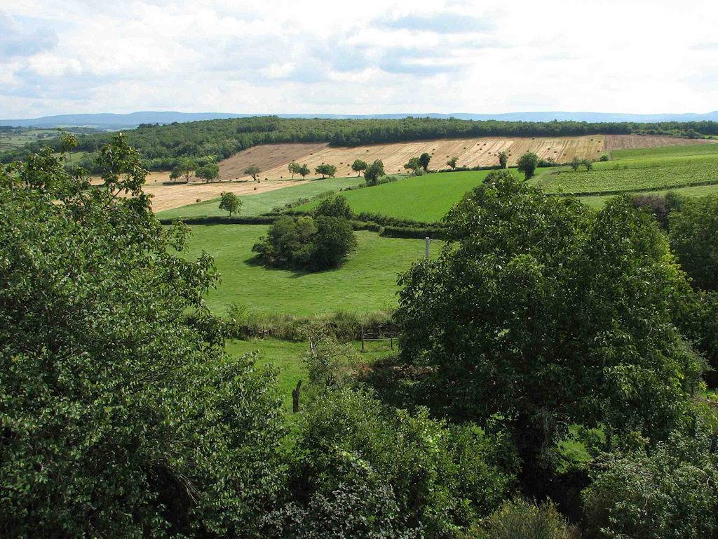 Gîte rural en Bourgogne du Sud (proche Cluny) in Saint-Ythaire, Région de Mâcon