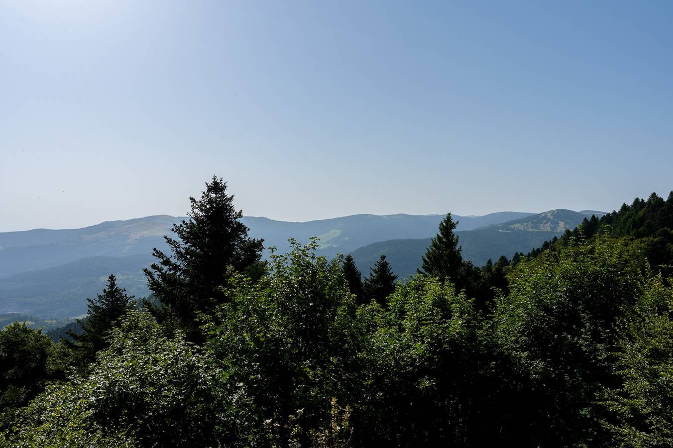 Maison de vacances 'Refuge Mil100' avec vue sur les montagnes, terrasse privée et Wi-Fi in Metzeral, Parc naturel régional des Ballons des Vosges
