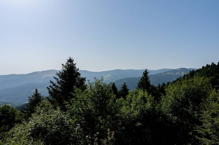 Chalet pour 12 personnes, avec jacuzzi ainsi que sauna et jardin dans le Haut-Rhin - 3