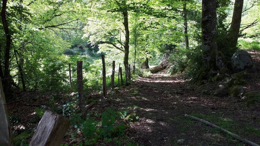 Location de vacances pour 10 personnes, avec vue et jardin à Beaumont-du-Lac - 4