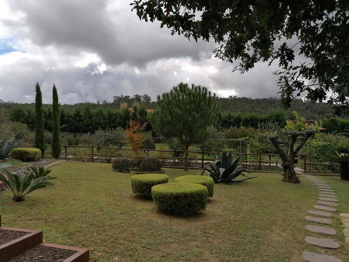 Campo De Sobarbo - Guest House rural in Penafiel, Bustelo