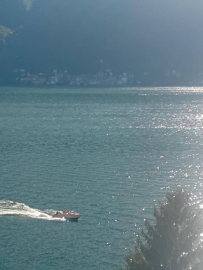 Location de vacances pour 6 personnes, avec vue sur le lac ainsi que jardin et vue, animaux acceptés dans Nesso - 4