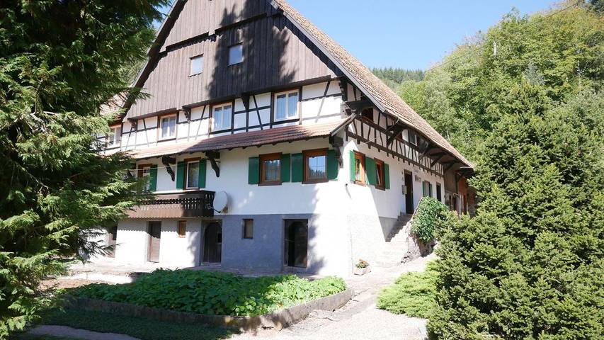 Gîte pour 4 personnes, avec jardin, animaux acceptés à Seebach (Ortenaukreis) - 2