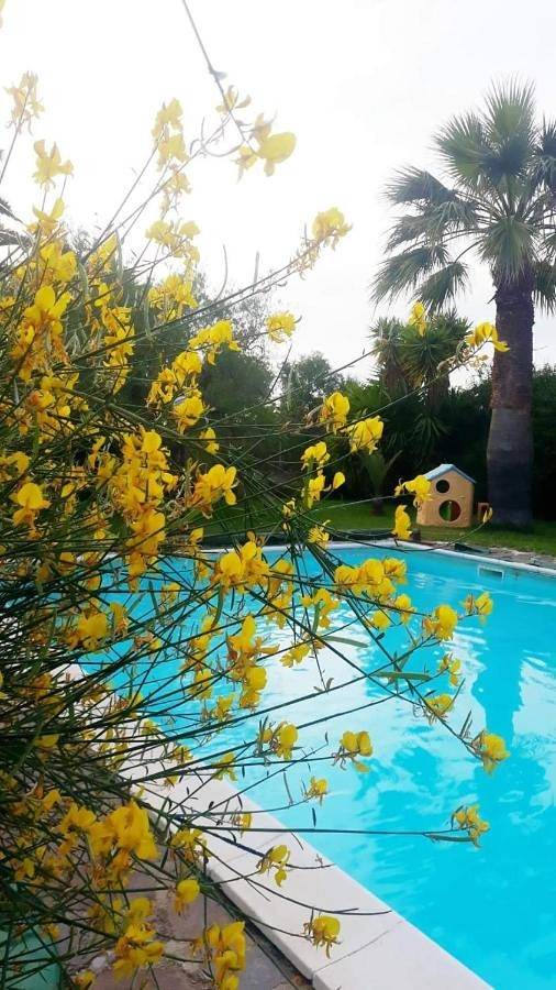 Deluxe Double or Twin Room with Pool View in Trani, Barletta-Andria-Trani