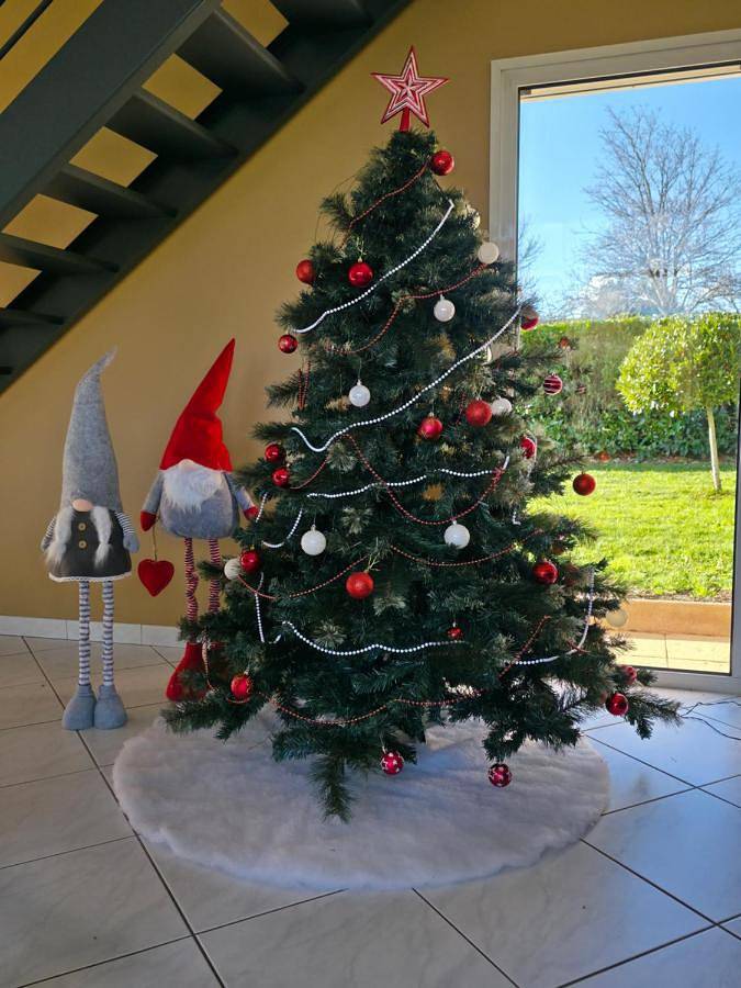 Location de vacances pour 9 personnes, avec jardin et vue à Sainte-Hermine - 4