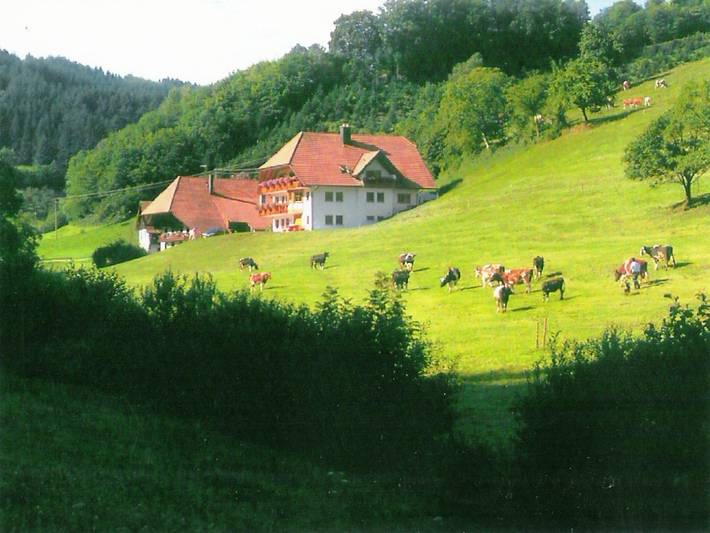 Ganze Wohnung, Bauernhofflucht in Hofstetten in Hofstetten, Mittlerer Schwarzwald