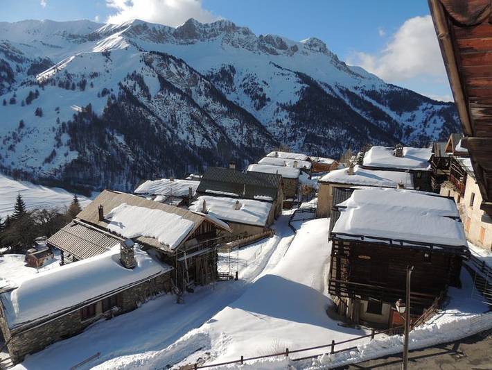 Le lys martagon in Saint-Véran, Queyras