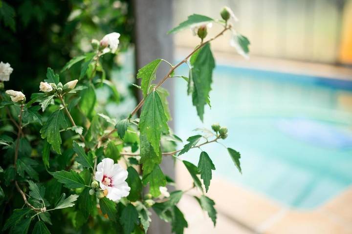 Location de vacances, avec Terrasse ainsi que Jardin et Piscine à Saint-Herblon - 4