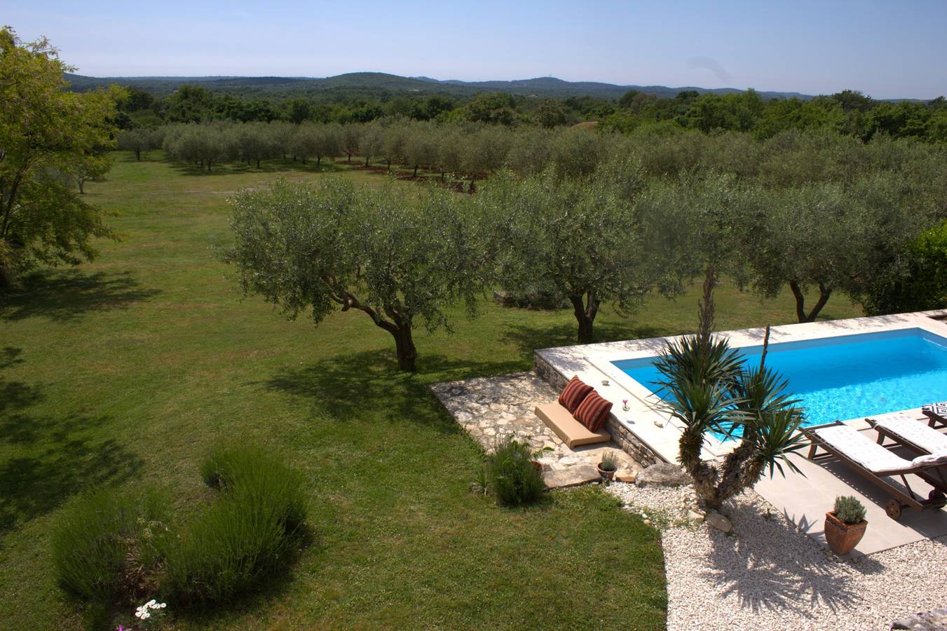 Ferienhaus Franciska * 3000 m2 Garten mit Olivenhain, privater Pool in Svetvinčenat, Zentralistrien