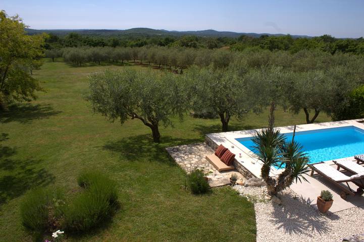Holiday house Franciska * 3000 m2 garden, olive grove, private pool in Svetvinčenat, Istria Central