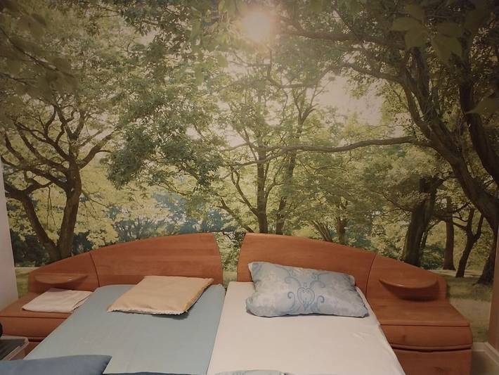 Ferienhaus für 6 Personen, mit Terrasse in Thüringen - 2