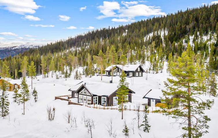 Ferienhaus für 8 Personen mit Garten in Nore og Uvdal
