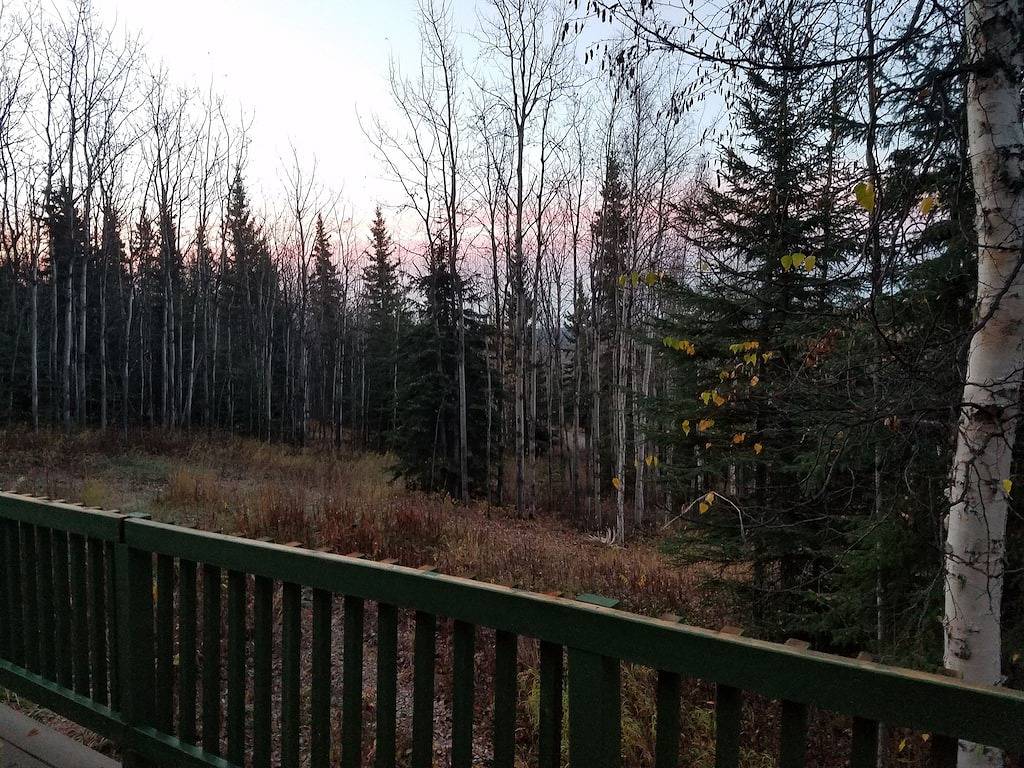 Hütte für 2 Personen in Fairbanks, Alaska