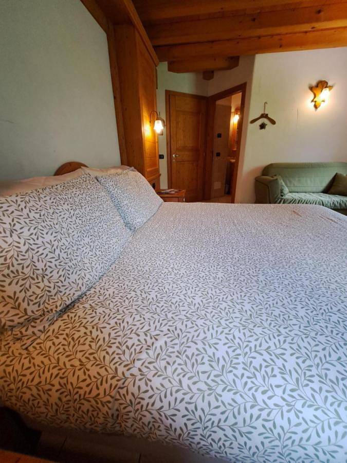 Location de vacances pour 2 personnes, avec jardin ainsi que vue et terrasse à Daone - 4