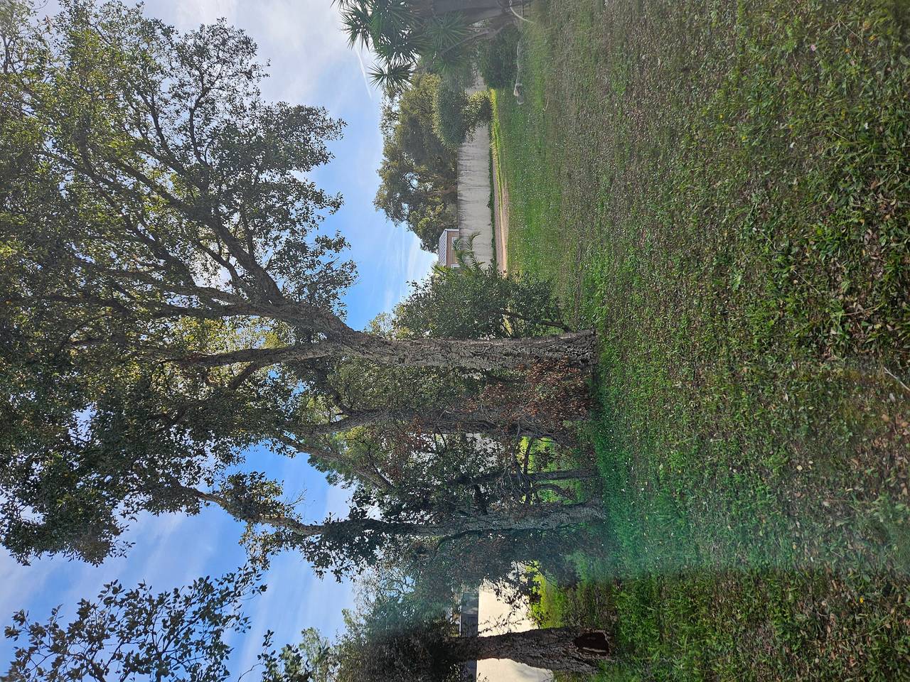 Mobile Home 'Chez Dede' with Shared Terrace, Private Garden, and Wi-Fi in Porto-Vecchio, Arrondissement de Sartène