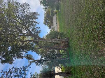 Bungalow pour 4 Personnes dans Porto-Vecchio, Arrondissement de Sartène, Photo 4