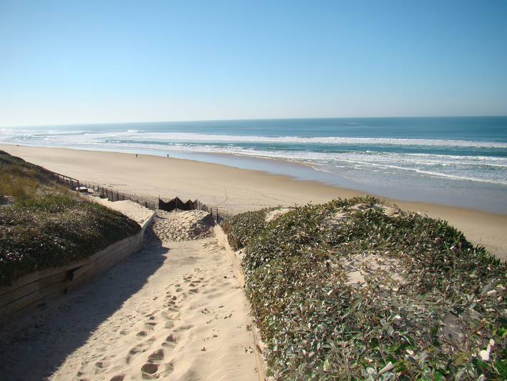 Maison de vacances pour 5 personnes avec terrasse in Biscarrosse Plage, Biscarrosse