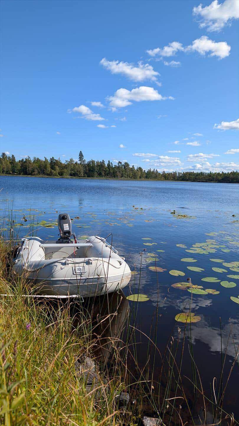 Vgo109 Kalv - Rösarp Sperlingsholm 203 in Västergötland