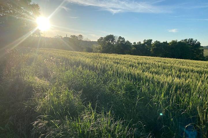 Gîte pour 10 personnes, avec terrasse et jardin à La Sauvetat