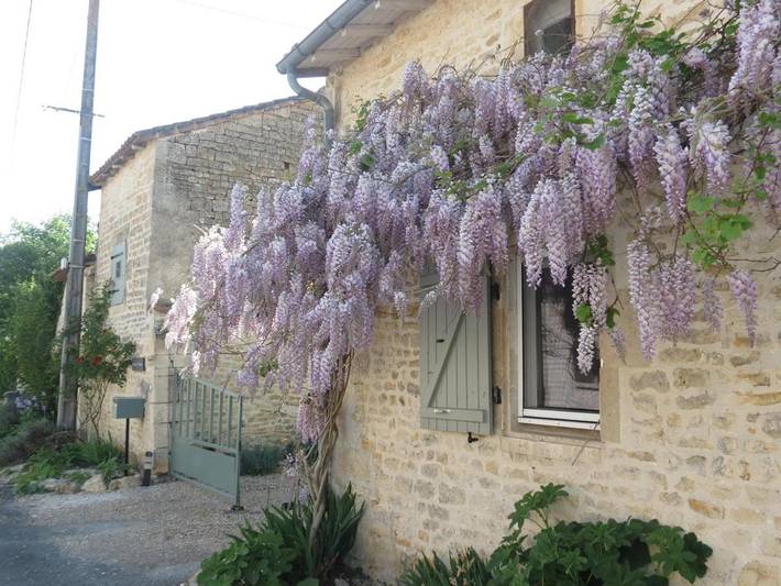 Location de vacances pour 2 personnes, avec terrasse ainsi que vue et jardin à Chef-Boutonne - 2