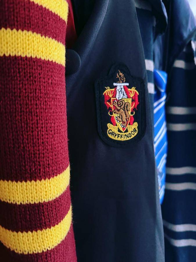 Gîte pour 6 personnes, avec terrasse, adapté aux familles à Magescq - 4