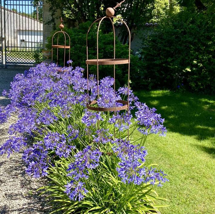 Gîte pour 2 personnes, avec jardin et piscine en Charente-Maritime - 3