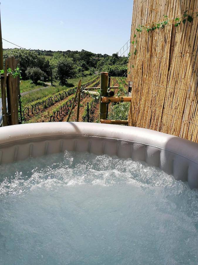 Gîte pour 2 personnes, avec jardin et vue, animaux acceptés à Massillargues-Attuech - 3