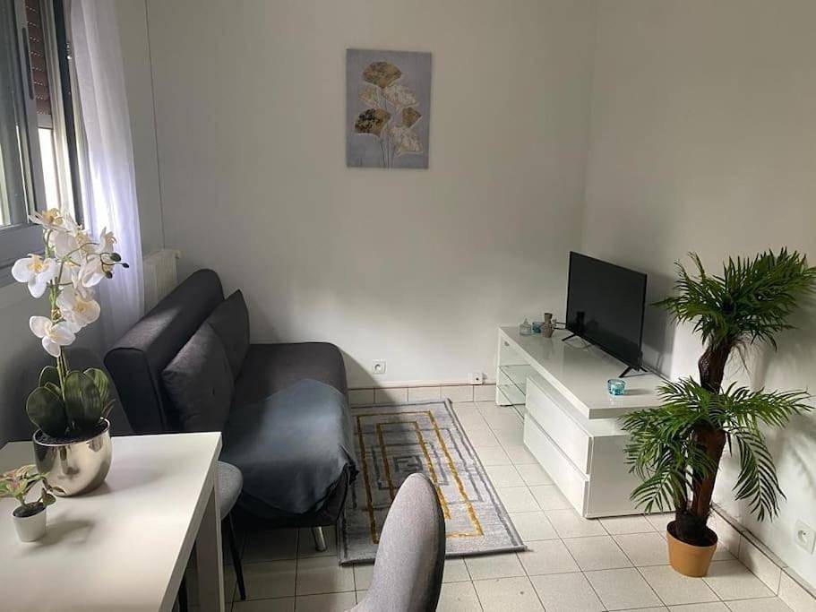 Appartement entier, One-Bedroom Apartment in Longjumeau, Essonne