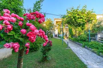 Vakantieappartement voor 2 Personen in Poreč, Grad Poreč, Afbeelding 1