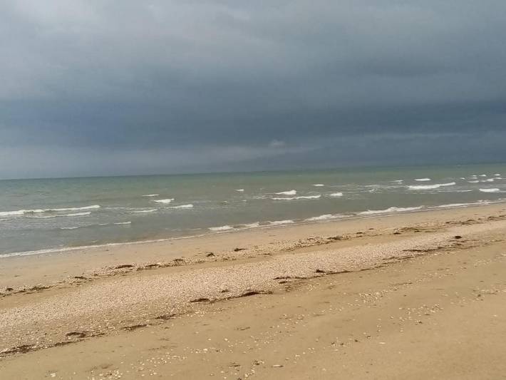 Location de vacances pour 2 personnes, avec jardin et vue, animaux acceptés à Saint-Martin-de-Varreville - 4