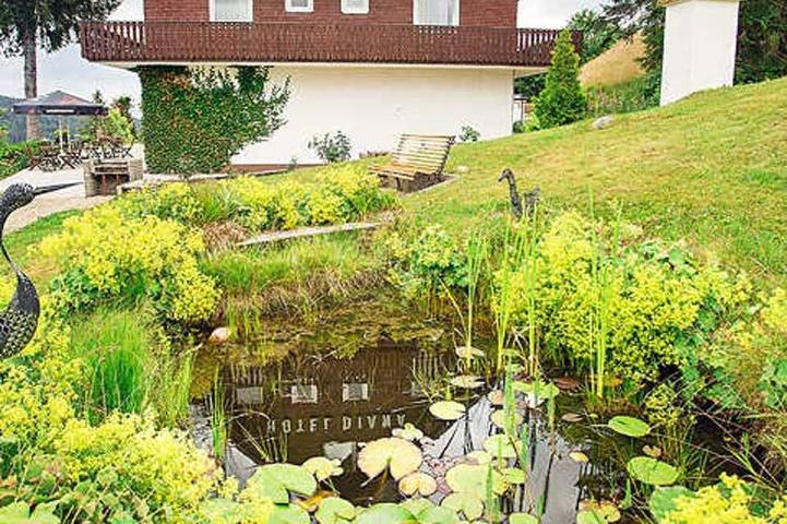 Ferienhaus für 4 Personen, mit Pool, mit Haustier in Feldberg - 4