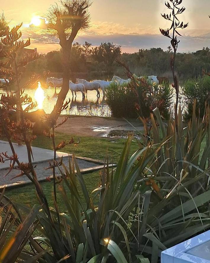 Chambre d’hôte pour 2 personnes, avec vue sur le lac ainsi que piscine et jardin à Saintes-Maries-de-la-Mer - 3