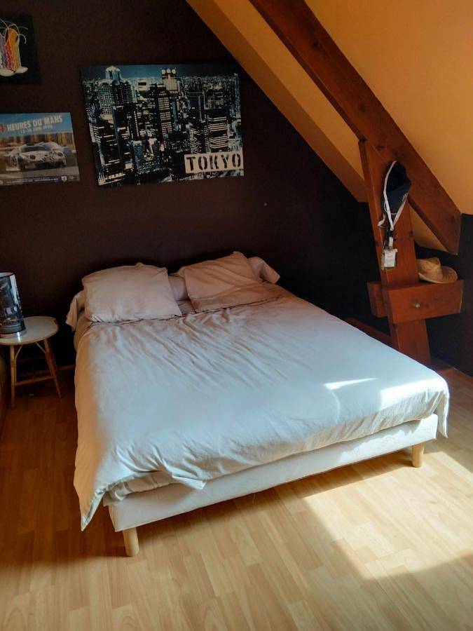 Gîte pour 8 personnes, avec jardin et vue à Teloché - 2