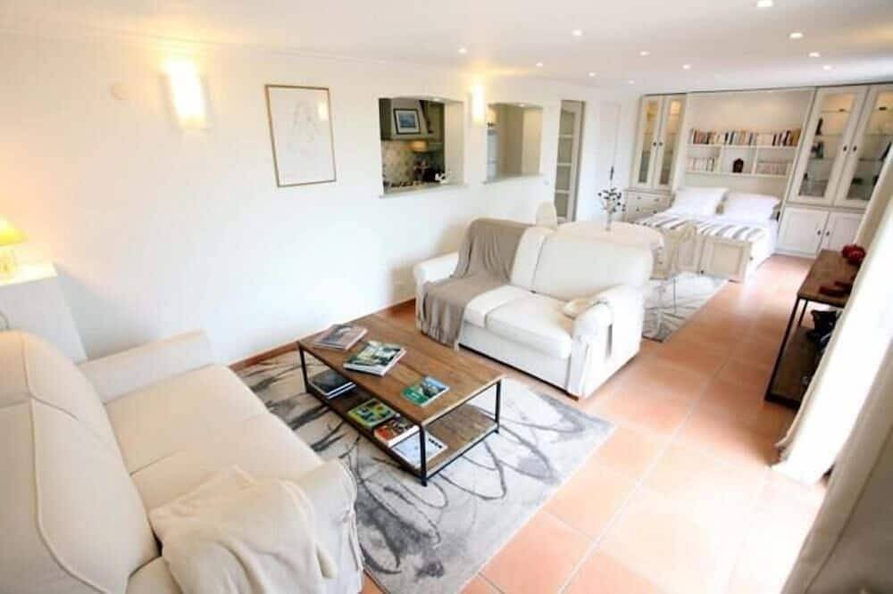 Estudio - Saint-André-de-la-Roche in Saint-André-de-la-Roche, Nizza Region