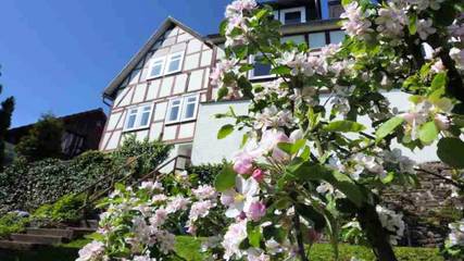 Ferienwohnung für 4 Personen, mit Haustier in Battenberg