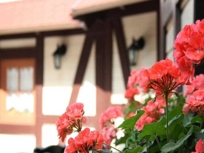 Hôtel pour 2 personnes, avec terrasse dans Bad Peterstal - 4