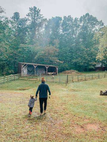 Agriturismo für 6 Personen in Blue Ridge Mountains, North Carolina, Bild 2
