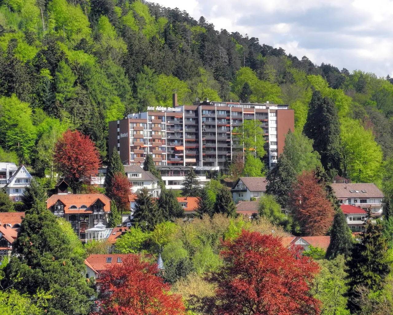 Studio Appartement 'Ferienwohnung Nr 9' met Privé Terras, Gedeelde Tuin en Wifi, foto 11