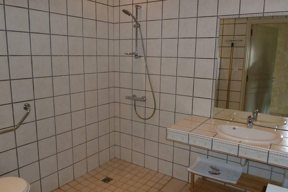 Gîte spacieux avec cheminée et animaux admis in Saint-Haon-le-Vieux, Région de Roanne