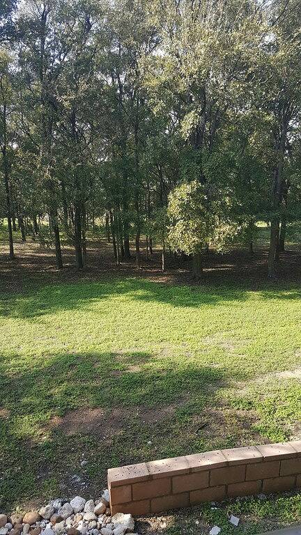 Vacation Apartment for 4 Guests in Austin (TX), Travis County