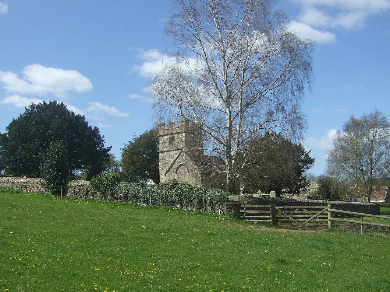 Buzzards - 8235 in Bridport, Dorset