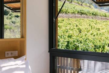 Villa para 6 Pessoas em Lamego, Vale do Douro, Foto 4