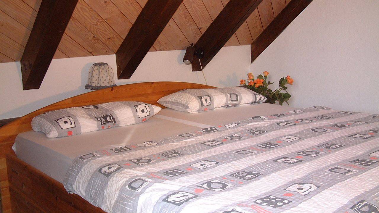 Ganze Ferienwohnung, Ferienwohnung für 3 Personen (51 m²) in Konstanz in Konstanz, Landkreis Konstanz