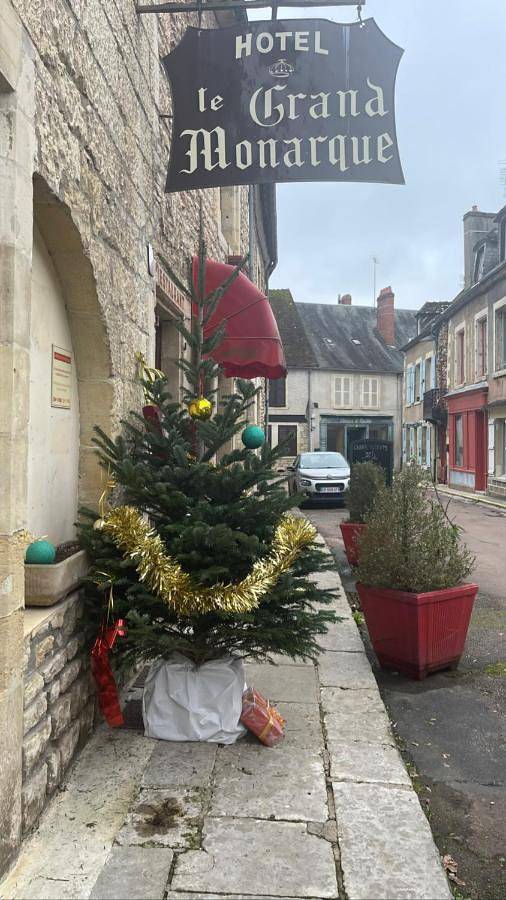 Hôtel pour 2 personnes, avec jardin et vue, animaux acceptés à Donzy - 4